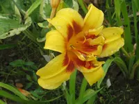 004_1024x768.webp