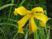 002_1024x768.webp