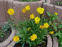 k-P1080171.webp