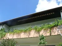 k-P1080182.webp