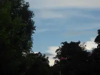 DSCN3406.webp