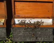 DSCF3659.webp