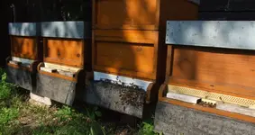 DSCF3660.webp