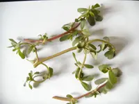 BILD 01.webp