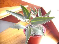 BILD 02.webp