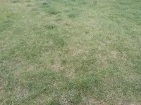 20140804_192344[1].webp