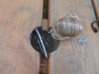 P1170360.webp
