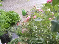 Links ein See.webp