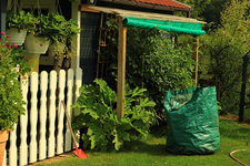 Tomaten_Zucchini_Unterstand_Erdbeeren_640.webp