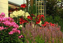 Hangbeet_multicolor_3_640.webp