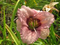 005_1024x768.webp