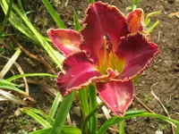 007_1024x768.webp