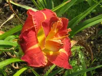 009_1024x768.webp