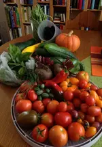 Ernte4.webp