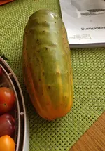 PetisGurke.webp