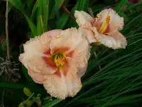 k-DSCI2989.webp