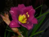k-DSCI2991.webp