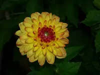 k-DSCI2984.webp