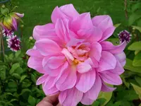 k-DSCI2986.webp