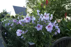 _DSC6894.webp