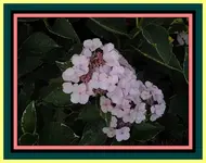 010.webp