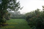 Garten im Nebel.jpg