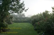 Garten im Nebel.webp