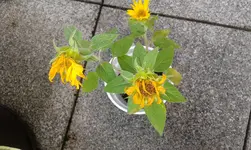 20140806_104701.webp