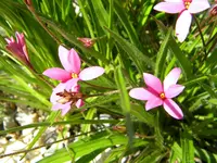 DSCN9256.webp