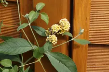 _DSC6919.webp