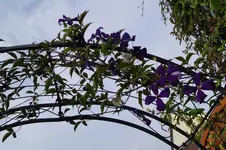 _DSC6921.webp