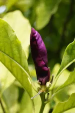 _DSC6924.webp