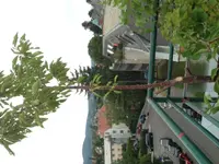 Foto (3).webp