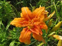 001_1024x768.webp