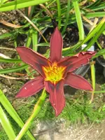 002_576x768.webp