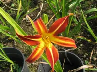 005_1024x768.webp