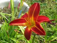 006_1024x768.webp
