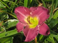 010_1024x768.webp