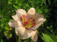 248_1024x768.webp