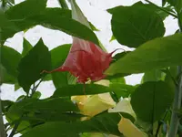 DSC01418.webp