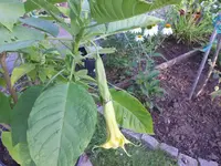 DSCN1226.webp