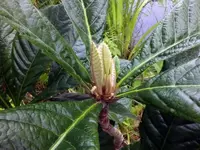 K800_DSCF4391.webp