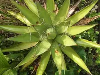 K800_DSCF4427.webp
