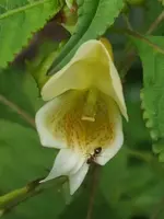 K800_DSCF4439.webp