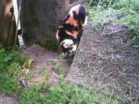Hanne48.webp