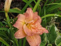 005_1024x768.webp