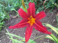 006_1024x768.webp