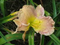 007_1024x768.webp