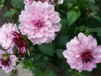20140807_103355.webp