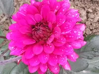 20140807_103419.webp